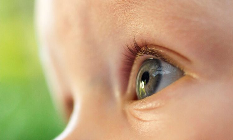 آیا می توان رنگ چشم نوزاد را تعیین کرد؟ روش تغییر و تشخیص رنگ چشم کودک