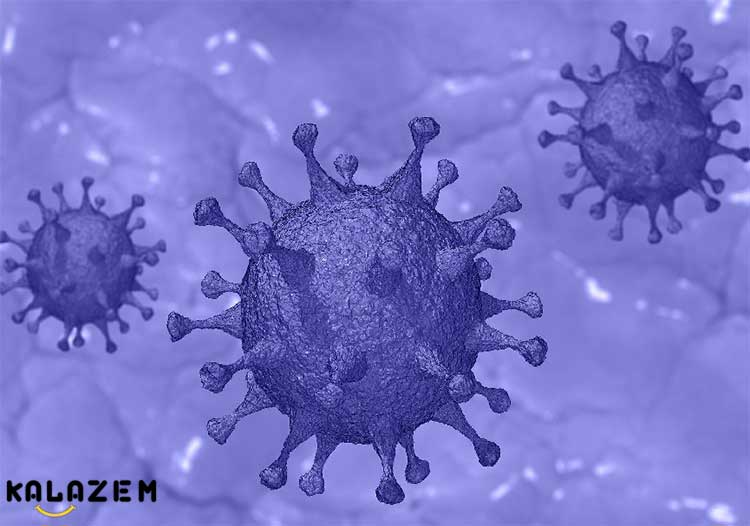 تشخیص ویروس یا باکتری
