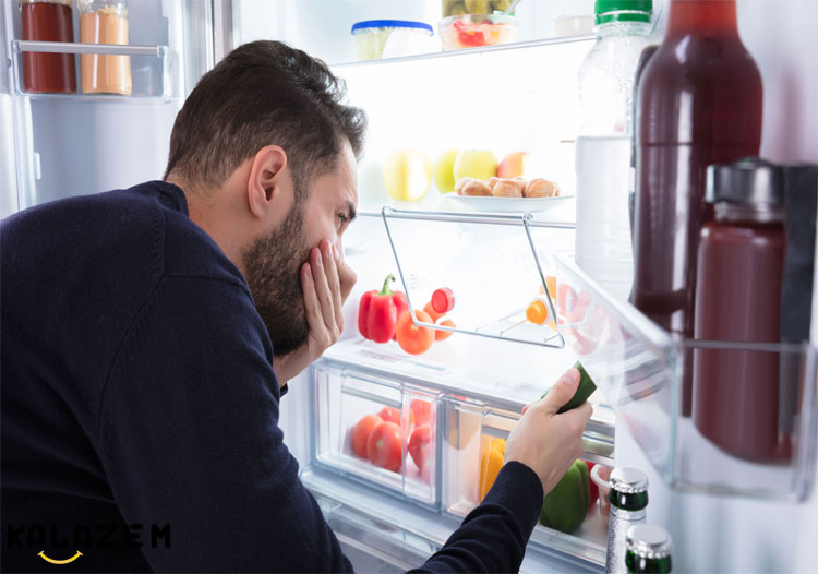 چگونه از بوی بد یخچال جلوگیری کنیم