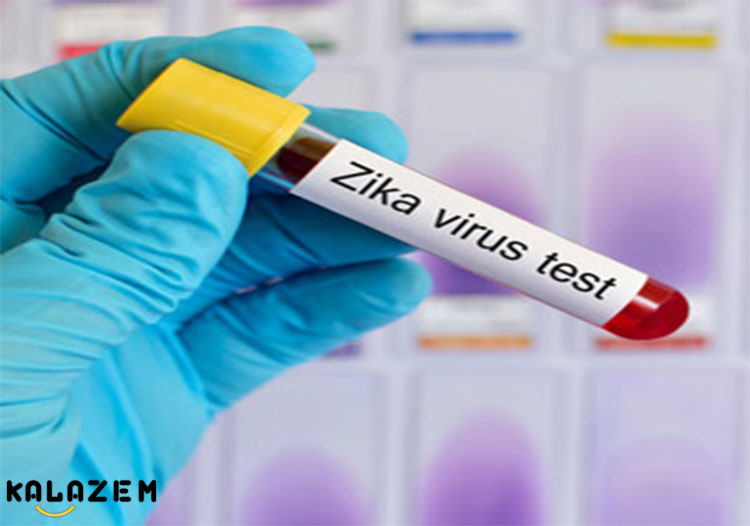 چگونه از ابتلا به ویروس زیکا جلوگیری کنیم؟