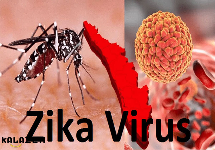 ویروس زیکا در چه سنی تاثیر می گذارد؟