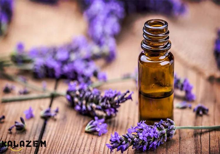 از یک قطره روغن رقیق شده برای کاهش نیش حشرات استفاده کنید