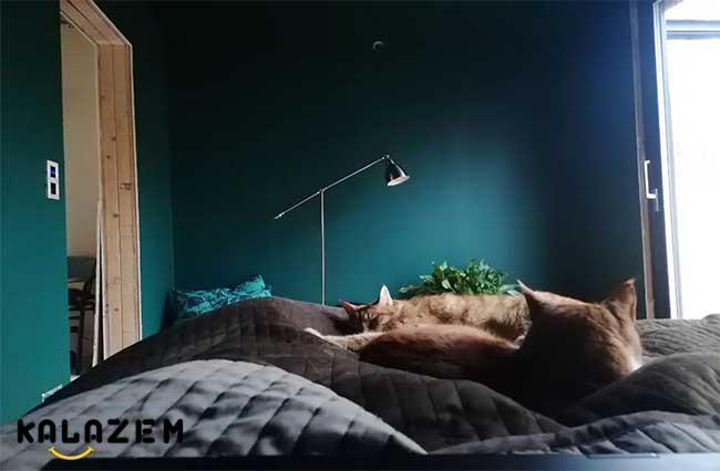 بهترین رنگ دیوار بهترین رنگ دیوار