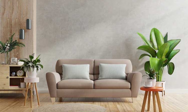 تغییر رنگ مبل