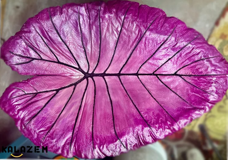 انواع گیاهان گوش فیلی