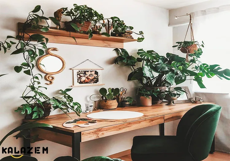 ایده و مدل شلف