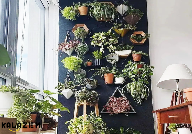 دکوراسیون داخلی با گیاهان در قفسه هادکوراسیون داخلی با گیاهان در قفسه ها