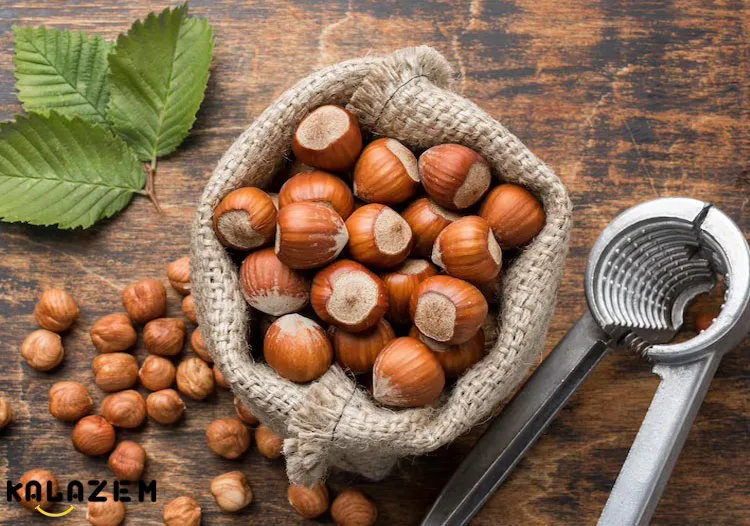 عوارض فندق
