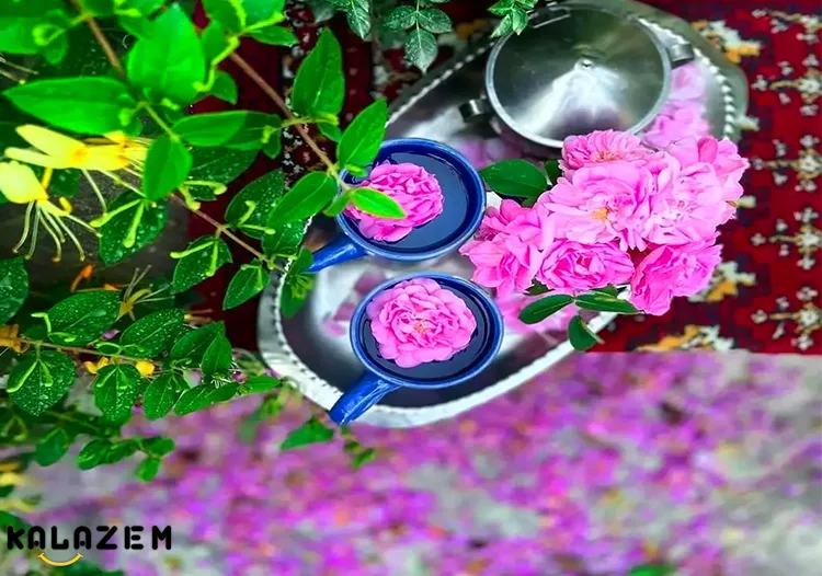 آیا نوشیدن گلاب می تواند برای موهای شما مفید باشد؟