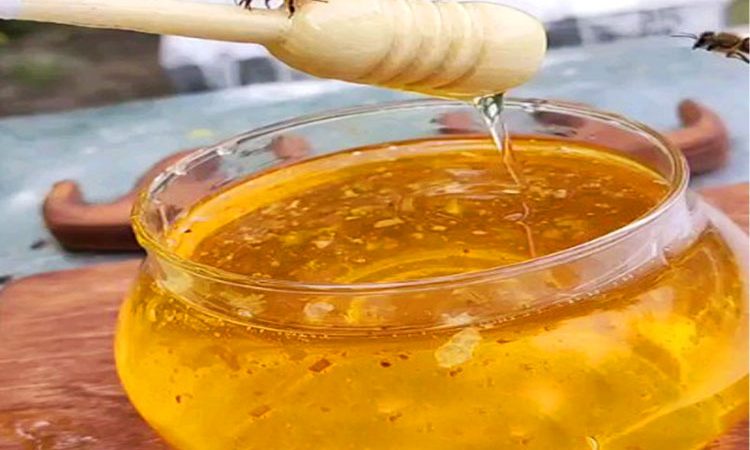 خواص عسل اقاقیا