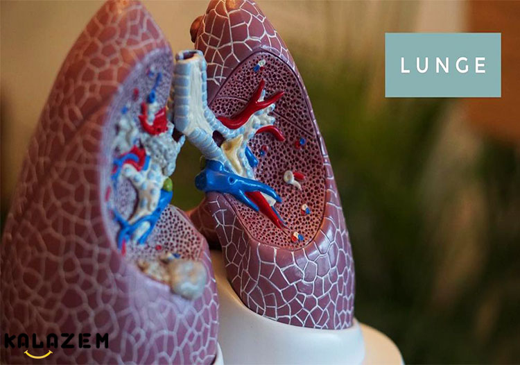 صداهای ریه چگونه هستند؟ صداهای ریه چگونه هستند؟