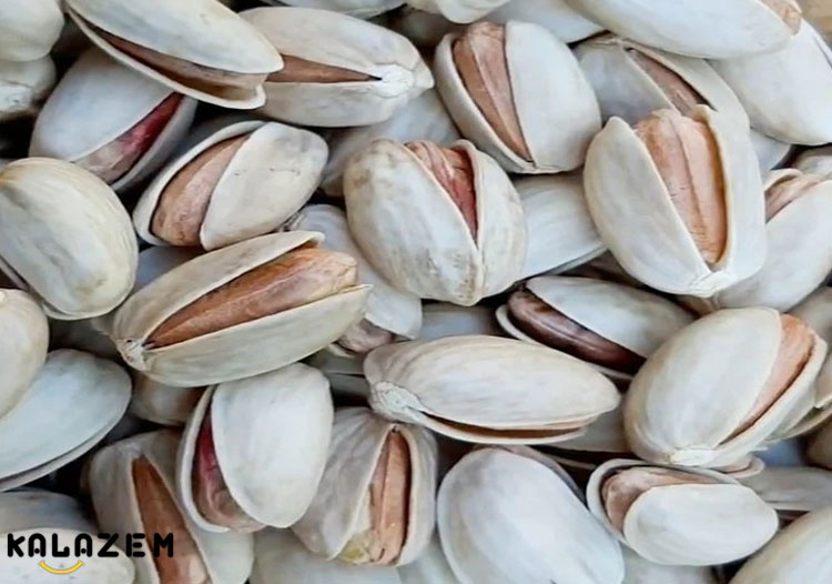فایده بزرگ پسته
