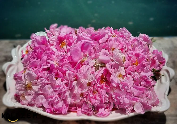 فواید گلاب برای پوست و مو