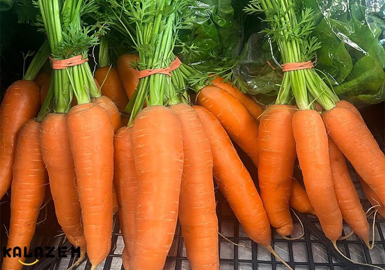 مواد لازم برای پرورش هویج در خانه