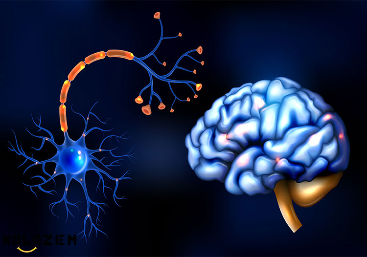 گزینه های درمانی بیماری ام اس