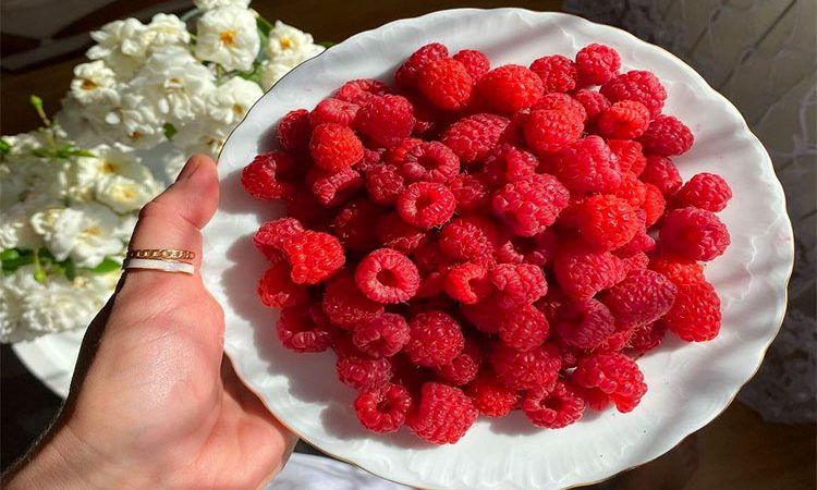 تمشک برای قلب