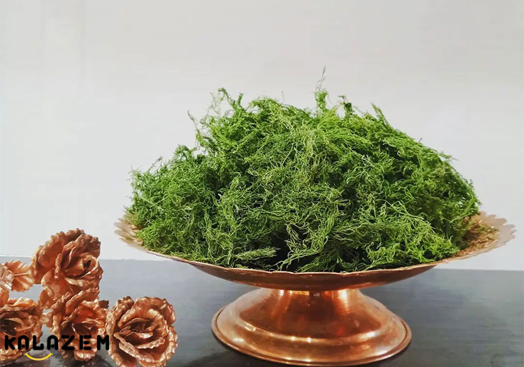 خواص شوید برای چه مفید است؟