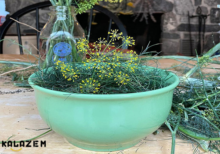 خواص شوید و ویتامینهای موجود در آن