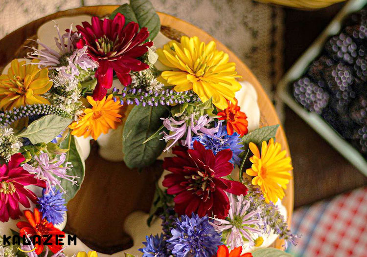 خواص گل خوراکی ضد میکروبی خواص گل خوراکی ضد میکروبی
