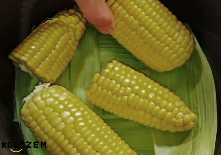 ذرت شیرین چه شکلی است؟ ذرت شیرین چه شکلی است؟