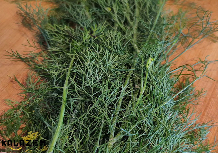 شوید چه شکلی است؟ خواص شوید