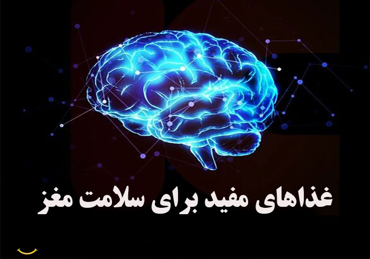 غذاهای مفید برای سلام مغز