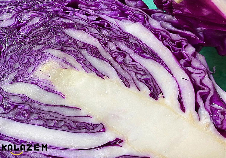 فواید کلم قرمز برای تصلب شرایین