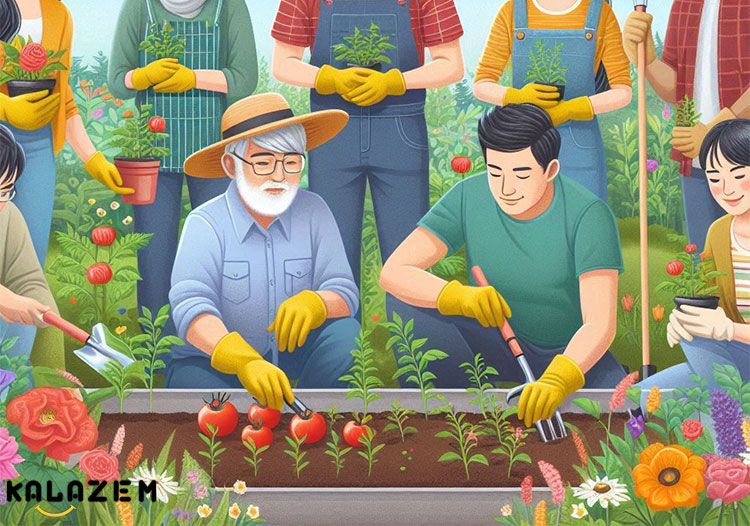 فواید گوجه فرنگی برای قلب و عروق
