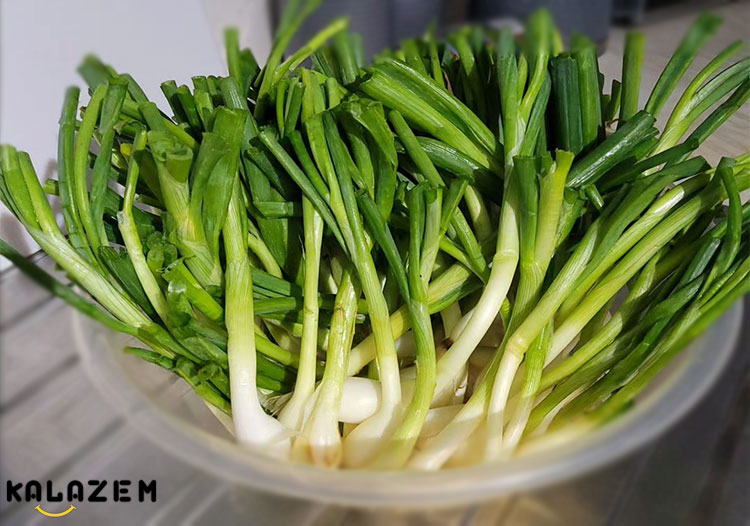 پیازچه چیست و چه شکلی است؟ خواص پیازچه