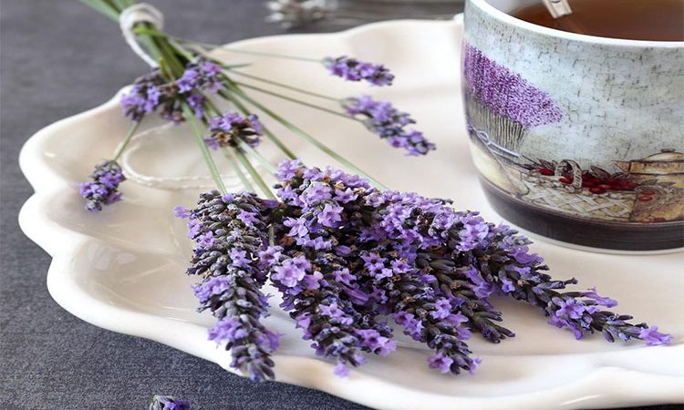 چای اسطوخودوس