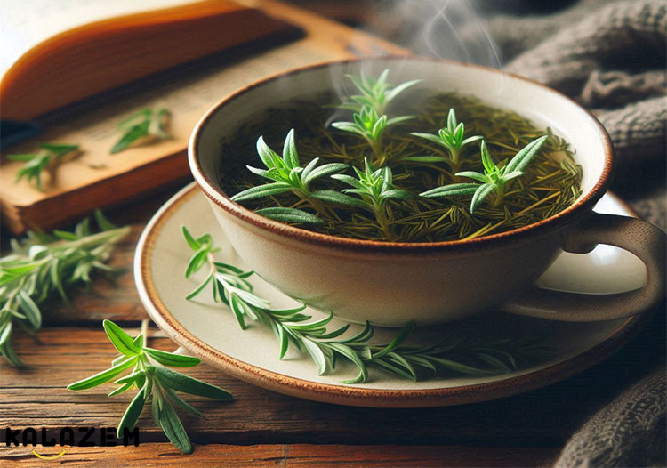 چای ترخون چیست؟ چای ترخون چیست؟