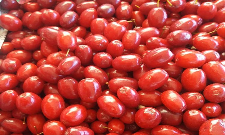 برترین خواص زغال اخته برای سلامتی و تنظیم فشار خون و کلسترول