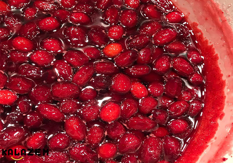 خواص زغال اخته برای کاهش وزن