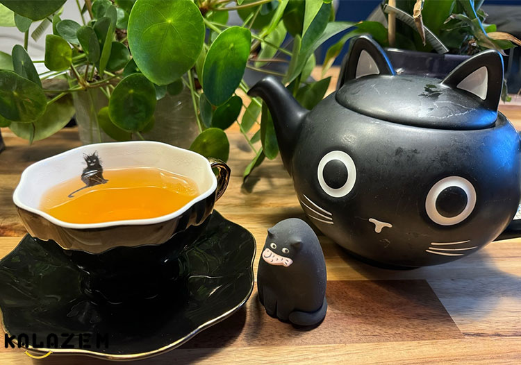 درمان پوست با چای نعناع 