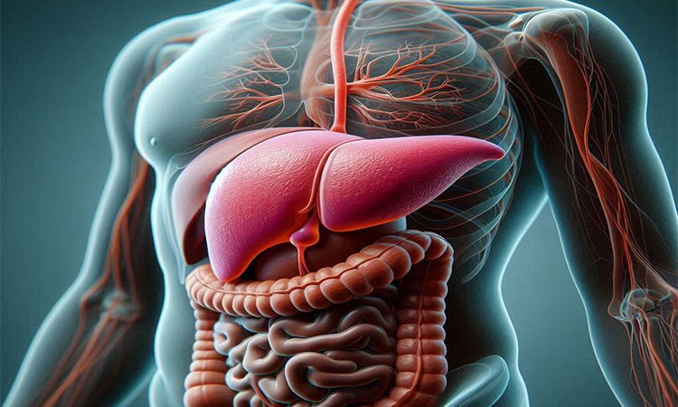 سریع ترین و موثرترین راه درمان خانگی برای از بین بردن سنگ کیسه صفرا