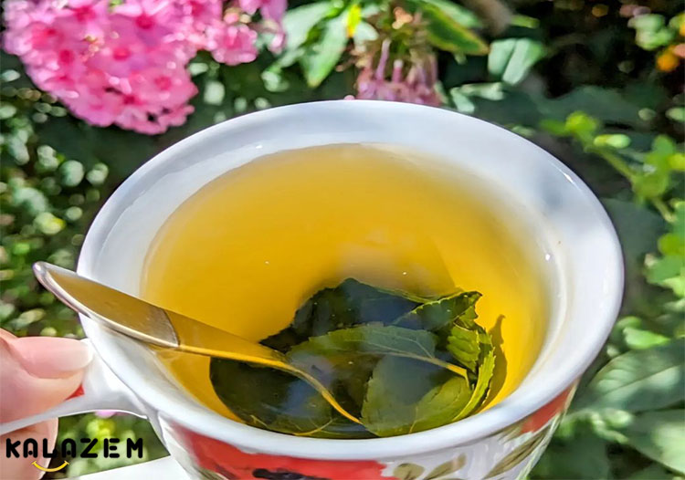 فواید چای نعناع