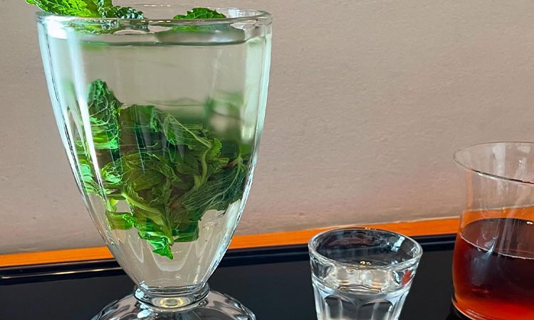 مهمترین خواص چای نعناع برای سلامتی و تناسب اندام_ 10 مزیت چای نعناع