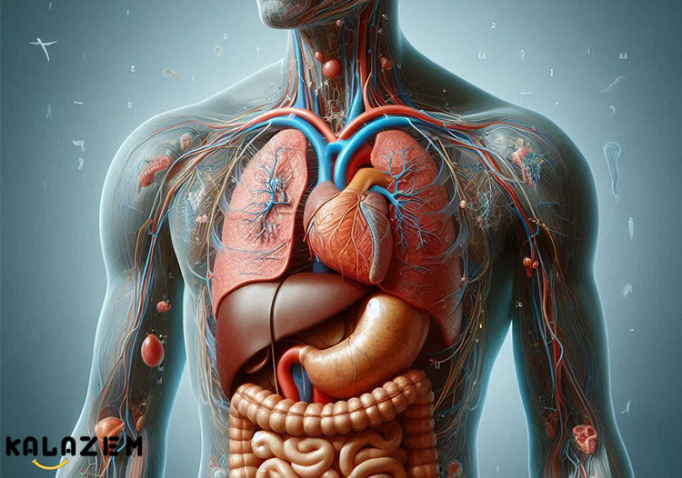 علل بیماری آشالازی چیست؟ علل بیماری آشالازی چیست؟