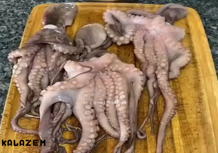 اختاپوس جزء رژیم غذایی پر پروتئین