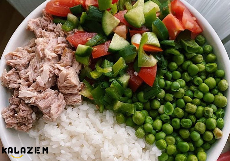 رژیم غذایی پر پروتئین چیست؟