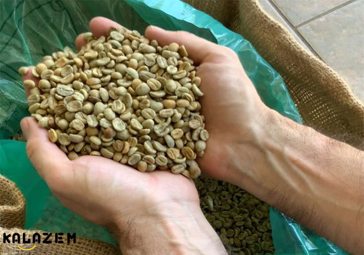 آیا می توانم با شکم خالی قهوه سبز بنوشم؟