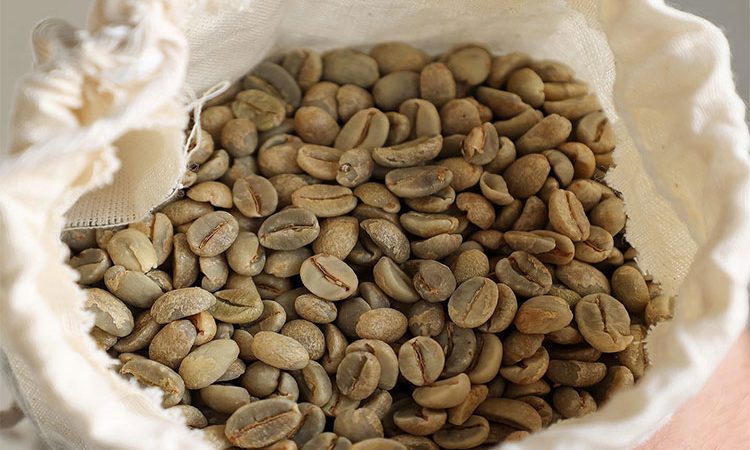 با نوشیدن قهوه سبز به لاغری سریع دست یابید! تهیه قهوه سبز برای کاهش وزن