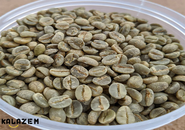 تهیه قهوه سبز برای کاهش وزن