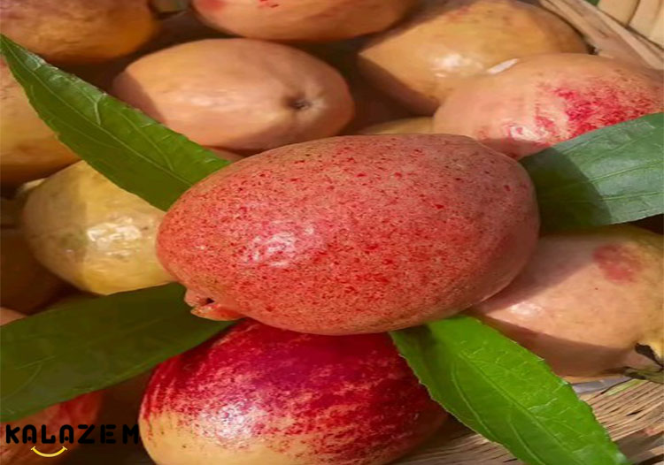 رژیم میوه و شاخص گلیسمی بالا رژیم میوه و شاخص گلیسمی بالا