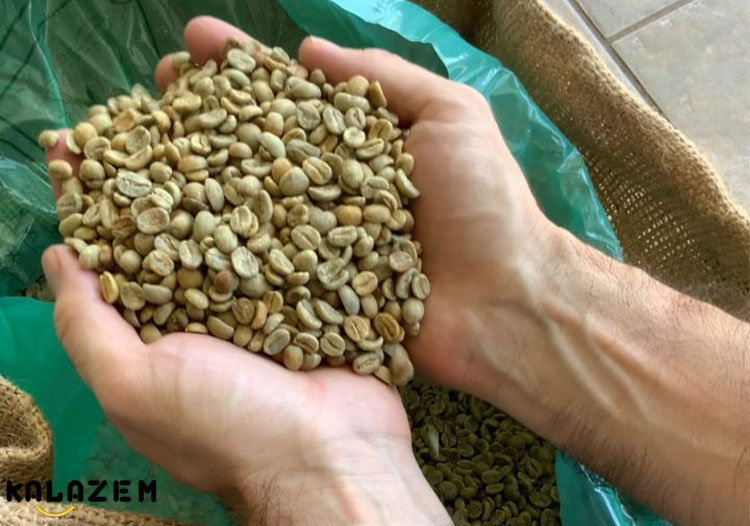 آیا دانه قهوه سبز برای کاهش وزن مفید است؟