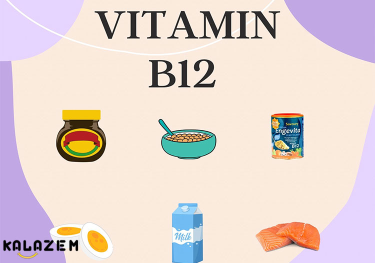 غذای غنی از ویتامین B12