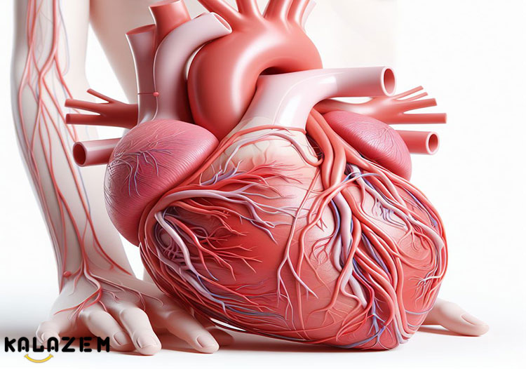 علائم حمله قلبی در زنان در مقابل ایست قلبی