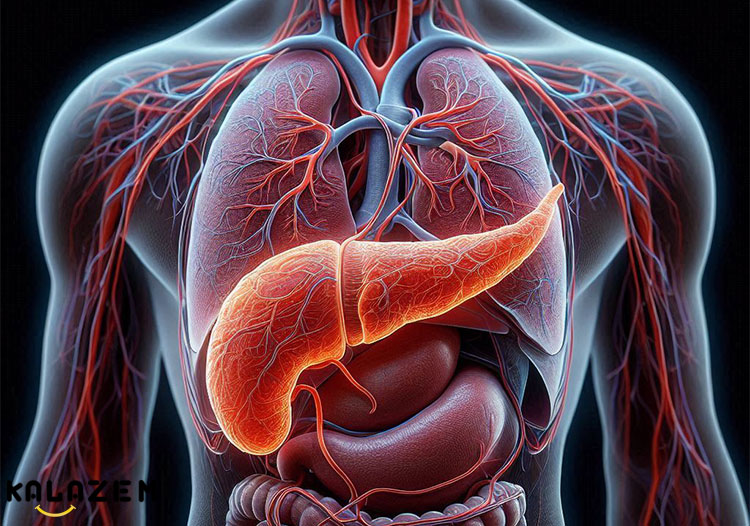 سرطان پانکراس چگونه تشخیص داده می شود؟