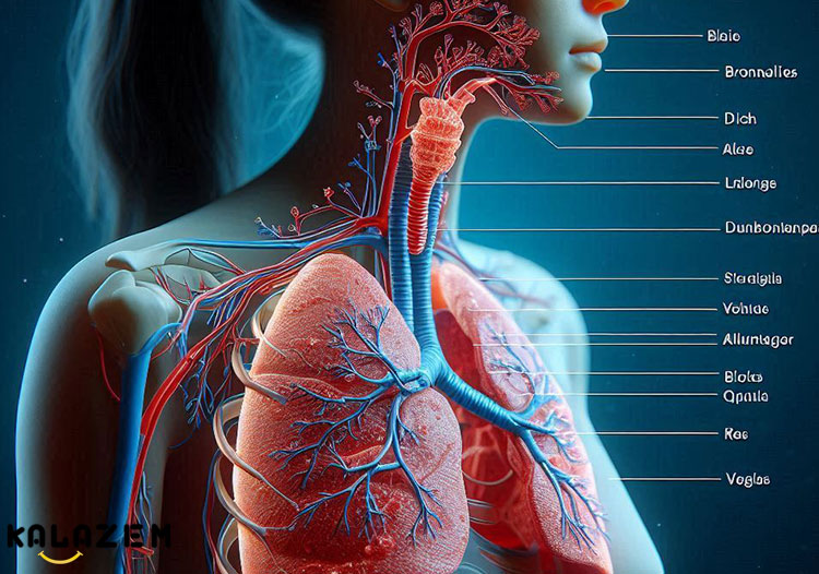 عوارض فیبروز کیستیک عوارض فیبروز کیستیک