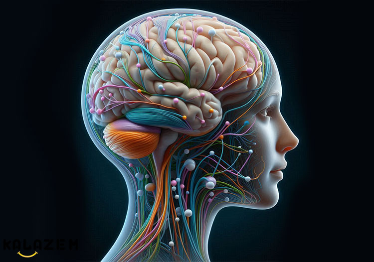 مرحله 4 بیماری پارکینسون